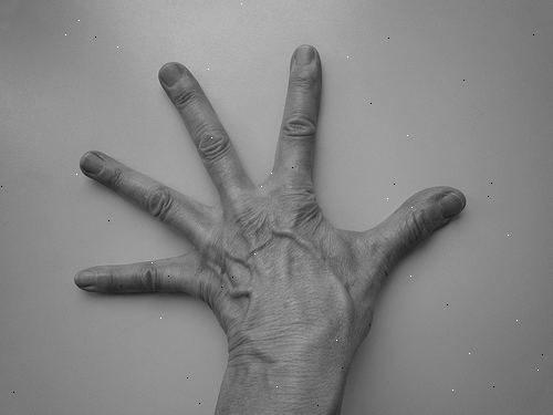 Hur räkna till 99 på fingrarna. Följande bilder visar de korrekta fingrar förlängas och resten krullade för demonstrationen, för att kunna använda dessa tekniker, men håll fingrarna rakt ut och placera rätt fingrar på en plan yta inte krypa fingrarna under dina händer..