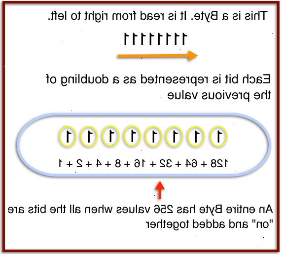 Hur man läser binär. Hitta ett binärt tal som du vill konvertera.