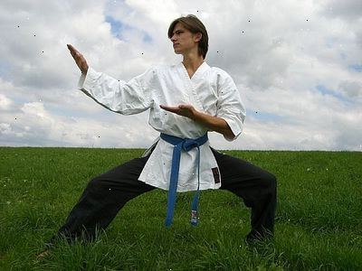 Hur man blir en kampsport instruktör. Inse först att folk inte bryr sig hur mycket karate ni vet, som du tränat med eller hur många troféer du kan (eller kanske inte) har vunnit.