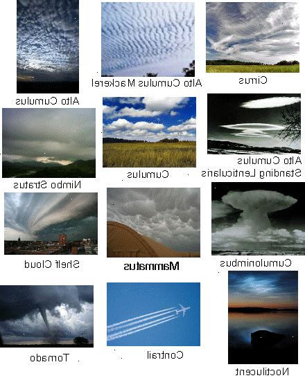 Hur att skilja de olika typerna av moln. Bli mer bekant med molnen.
